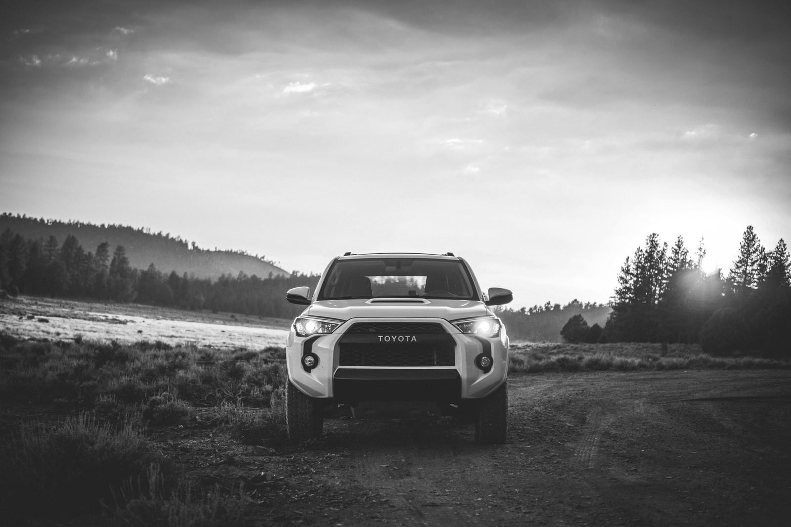 草原の道に停まる白いSUV（イメージ）